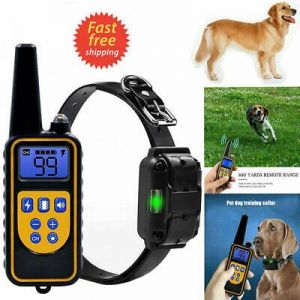 COLLARE 800M IMPERMEABILE TELECOMANDO CANI SCOSSA ELETTRICO ADDESTRAMENTO LCD