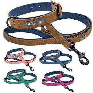 Colletto e Guinzaglio Per Cani in Pelle Personalizzato Collare ID Targhetta