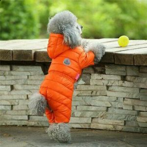 Small Pet Dog Jumpsuit Clothes Winter Warm Down Jacket Puppy Cat Coat Costume