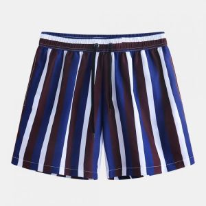 Men Multi Color Stripe Swim Shorts Quick Drying Mesh Liner Casual Shorts