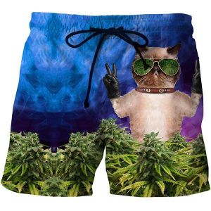 Mens 3D Glasses Cat Printing Summer Casual Beach Board Shorts