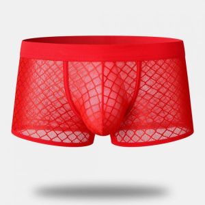 Mens Mesh Boxer Briefs Nylon Patchwork Thin See Through Underwear