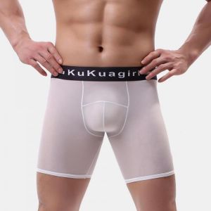 Men Nude Boxer Briefs Ultra Thin See Through Ice Silk Breathable Underwear With Pouch