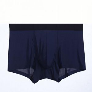 Men Seamless Ice Silk Boxer Briefs Plain Comfortable Mesh Liner 3D U Pouch Underwear