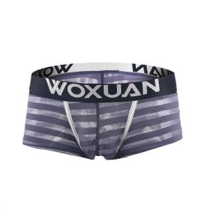 shopping הלבשה תחתונה Mens Thin Striped Net Breathable Transparent Seamless Boxer Briefs