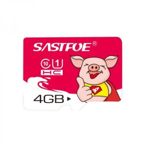 SASTFOE Year of the Pig Limited Edition U1 4GB TF Memory Card