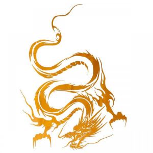 Car Hood Body Vinyl Graphic Wrap Decal Dragon Sticker Black Racing Sport Reflect