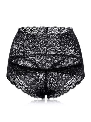 High Waisted Lace Perspective Hip Lifting Cotton Crotch Briefs