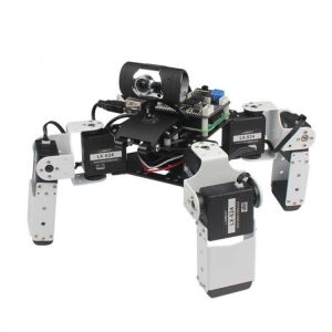 LOBOT Alienbot Raspberry Programmable PC Stick Control Face Recognition Smart RC Robot With Camera