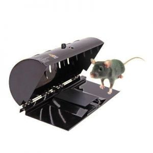 Creative Rat And Rodent Trap Household Catch Rats Mice Or Other Similar Rodents with Ultra Sensitive Trap Cage Efficiently And Saf