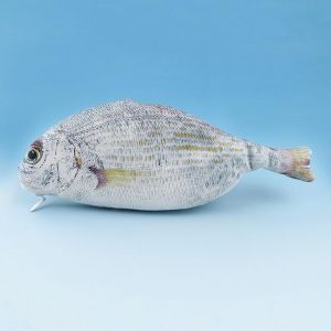 WAM PC-07 Fish Pencils Case Cute Simulation Cloth Plush Fish Pen Box Large Capacity School Stationer
