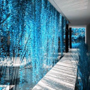 Egrow 100 Pcs/Bag Blue Pearl Chlorophytum Seed Potted Plants Flowers for Garden &amp; Indoor Decoration