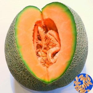 Egrow 50Pcs/Pack Cantaloupe Seeds Honey Yellow Flesh Sweet Melon Fruit Seed Summer Muskmelon Plants