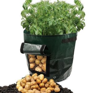 Graden 50L Large Capacity Potato Grow Planter PE Container Vefetable Bags Taro Sweet Tomato Pouch With Window