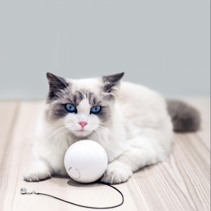 shopping ציוד לחיות מחמד HomeRun Smart Interactive Pet Toys Automatic 360 Degree Self Rotating Ball Toys with Bell Built-In Spinning Eye-Protection LED Cat