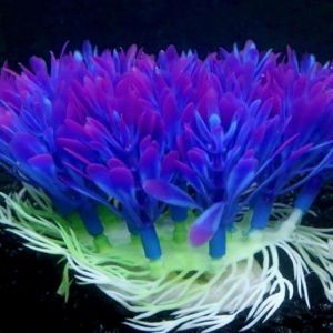 shopping ציוד לחיות מחמד Artificial Plastic Plant Water Grass Fish Tank Aquarium Ornament Decorations New