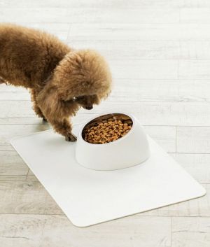 Jordan&amp;Judy Pet Dog Bowl From Xiaomi Youpin Anti-slip Cat Dish Tilted Pet Feeder With Base Suitable For Most Cats