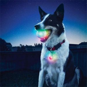 Yani Pet Dog Training Electronic LED 7 Color Flashing Luminous Dog Teeth Grinding Ball Glitter Interactive Toy