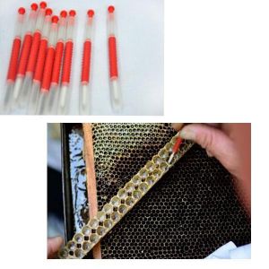 5Pcs Beekeeping Tools Beekeepers&ensp;Grafting&ensp;Tools Retractable Type Beekeeper Needle Grafting