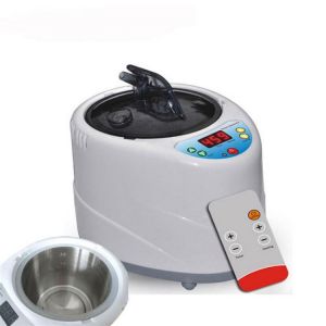 iBeauty Smart Wireless Remote Control Evaporator 4L Steam Generator Fumigation Instrument with Steaming Sauna Box Steamer