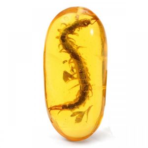 shopping ציוד לבניית תכשיטים Real Centipede Pendant Amber Yellow Plants Insects Decoration DIY Accessories