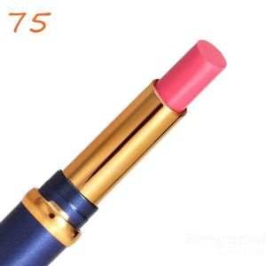 HengFang 10 Colors Lipstick Moist Waterproof Long Lasting Lip Makeup