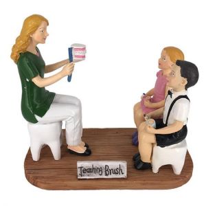 Exquisite Vivid Dental Brushing Demonstration Teaching Sculpture Synthetic Resin