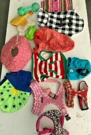LOT OF SMALL DOG HARNESS COSTUME SWEATER SQUEAK TOYS 14 PIECES