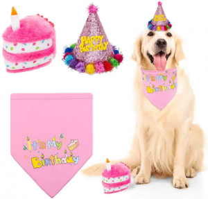 Dog Birthday Bandana Set with Hat & Squeaky Cake Toy