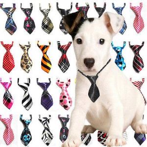 Lot 2~10 PCS Dog Cat Teddy Pet Puppy Toy Kids Grooming Bow Tie Necktie Clothes