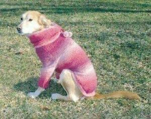 Vo-Toys Votoys Doggiduds Dog Razzle Dazzle Razzleberry berry Sweater 22-25" XL