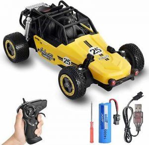 Racing Car INLAIER RC Cars Remote Control Car for Kids 2.4 GHZ 1:20 Scale High S