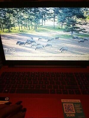 Hp Laptop Used