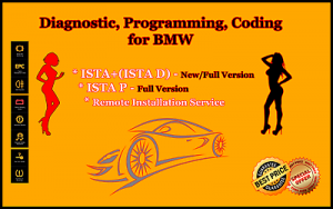 Ista P Coding 2021 Newest ISTA D ISTA+ Full version Diagnostic fits for BMW