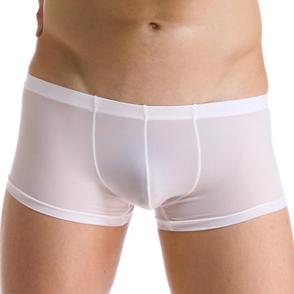 shopping הלבשה תחתונה Sexy Thin Translucent Breathable Ice Silk Low Waist U Convex Boxers Briefs for Men
