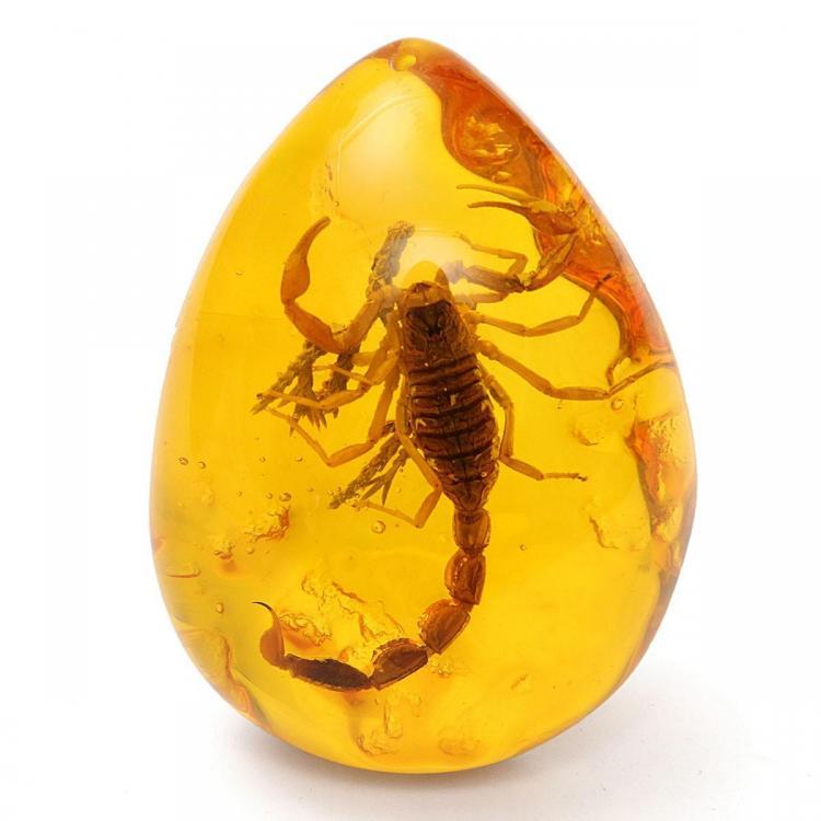shopping ציוד לבית Insect Stone Scorpions Inclusion Amber Baltic Pendant Necklace Decorations
