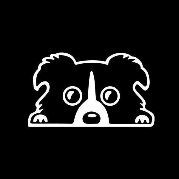 shopping אביזרי חוץ לרכב 14x8cm Car Lovely Pet Dog Sticker Funny Decal Auto Bumper Window Body Decal