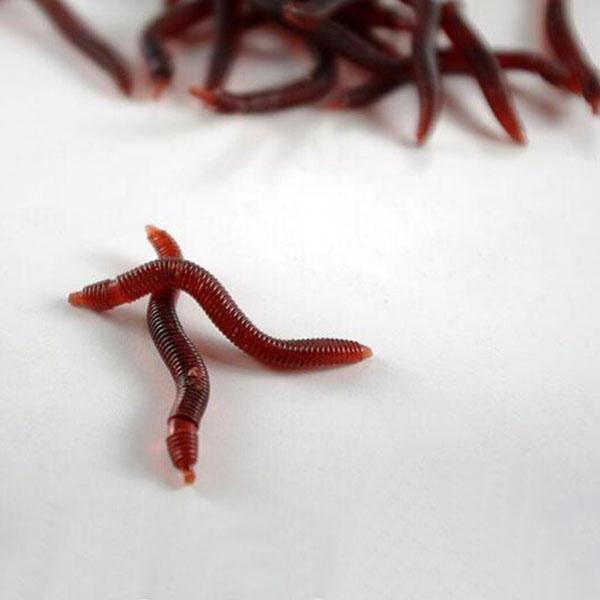shopping ציוד דיג וציד 1pc Soft EarthWorm Fishing Lures Silicone Red Worms Bait Plastic