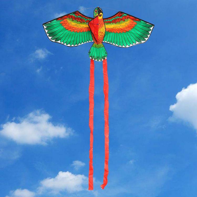 shopping סקייטבורד וספורט בחוץ Outdoor Beach Park Polyester Camping Flying Kite Bird Parrot Steady With String Spool For Adults Kids