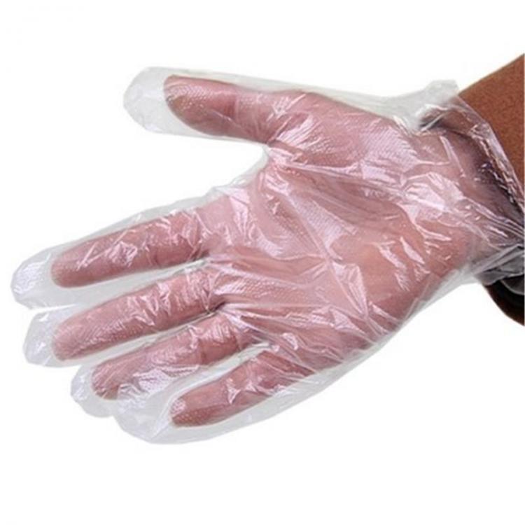 shopping מטבח ופינת אוכל 50Pcs/1Set Disposable Gloves Baking Accessories Cooking Guard Tool Glove