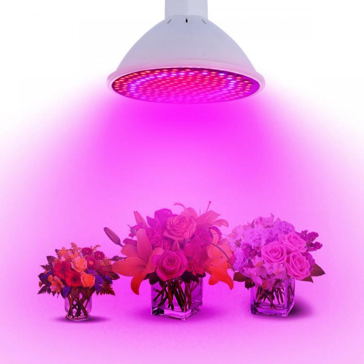 shopping גינה וגנים 20W E27 166 Red 34 Blue LED Grow Light Plant Lamp Bulb Garden Greenhouse Plant Seeding Light