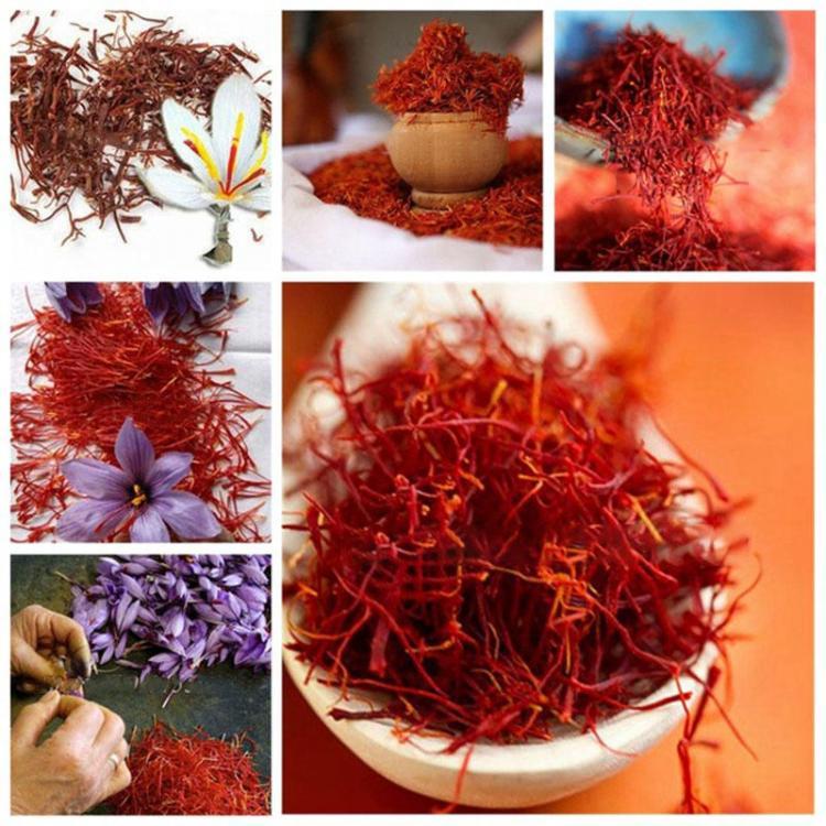 shopping גינה וגנים Egrow 1000Pcs/Pack Saffron Seeds Outdoor Flower Bonsai Iran Saffron Potted Plant For Home Garden Planting