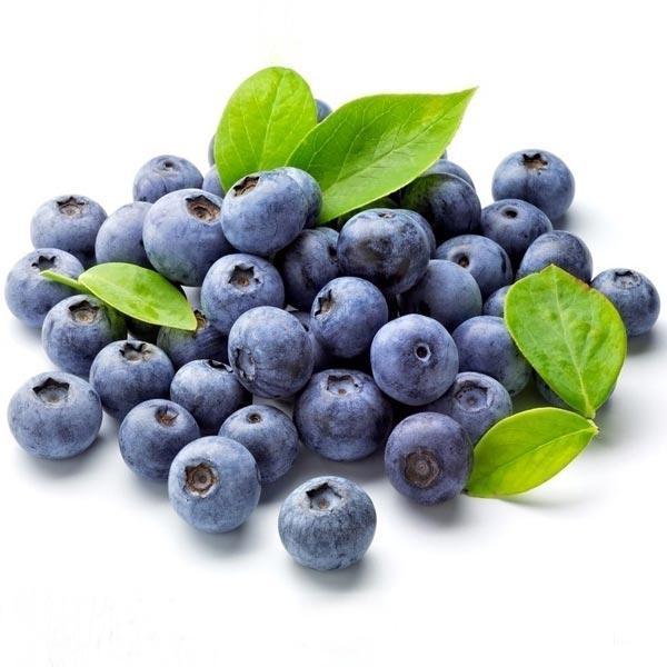 shopping גינה וגנים Egrow 30Pcs Blueberry Seeds Garden Edible Fruit Bonsai Plant Indoor Outdoor Delicious Plant