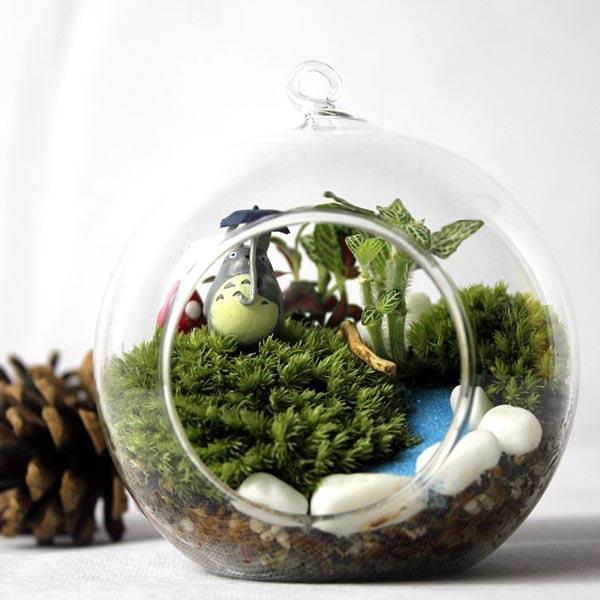 shopping גינה וגנים DIY Mirco Landscape Moss Plant Natural Wild Leucobryum Bowringii Glass Bottle Decorations