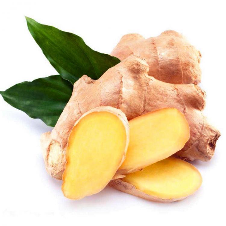 shopping גינה וגנים Egrow 100Pcs Ginger Seeds Balcony Vegetables Potted Bonsai Plant Seeds Four Seasons Plants