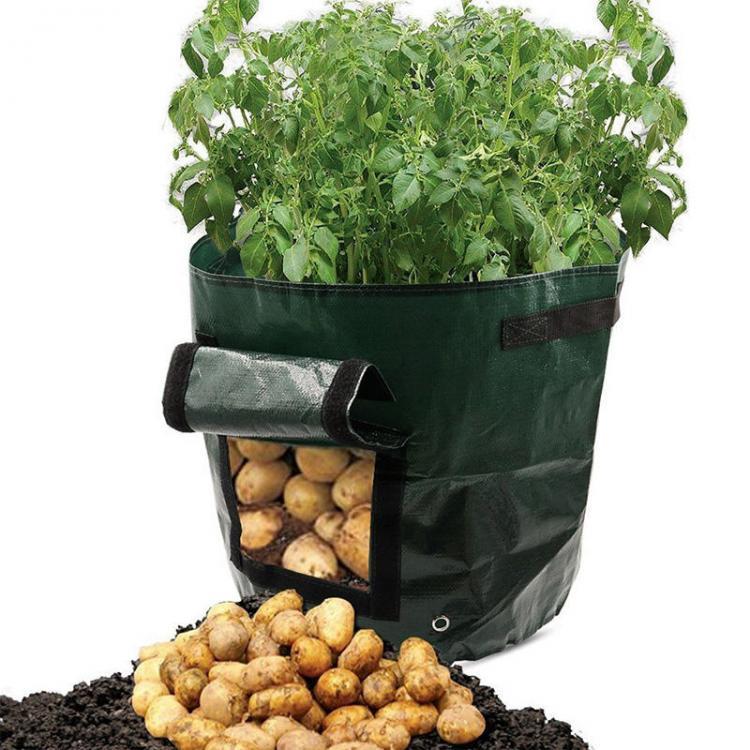 shopping גינה וגנים Graden 50L Large Capacity Potato Grow Planter PE Container Vefetable Bags Taro Sweet Tomato Pouch With Window