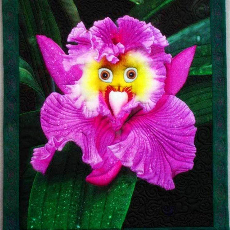 shopping גינה וגנים Egrow 100Pcs/Pack Monkey Face Orchid Seeds Home Garden Bonsai Plants Flowers