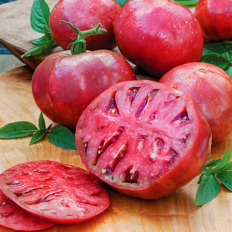 shopping גינה וגנים Egrow 100Pcs/Pack Purple Tomato Seeds Garden Healthy Fruit Vegetable Plants Bonsai Seeds