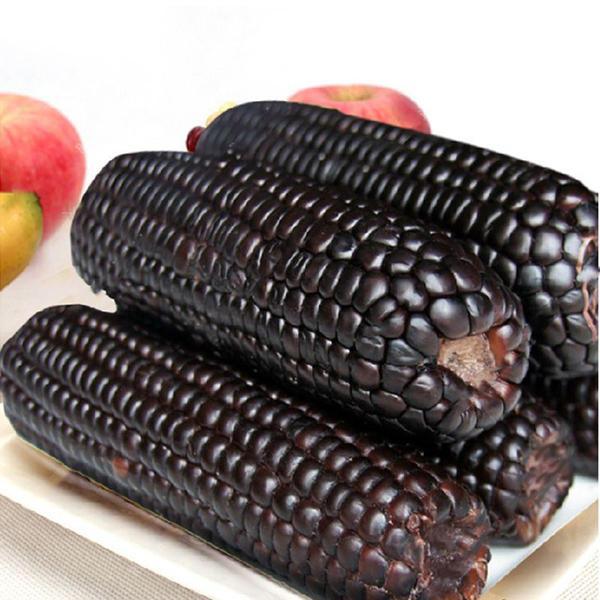 shopping גינה וגנים Egrow 30Pcs/Pack Black Waxy Corn Seeds Gardening Farm Vegetable Maize Black Sticky Corn Seeds