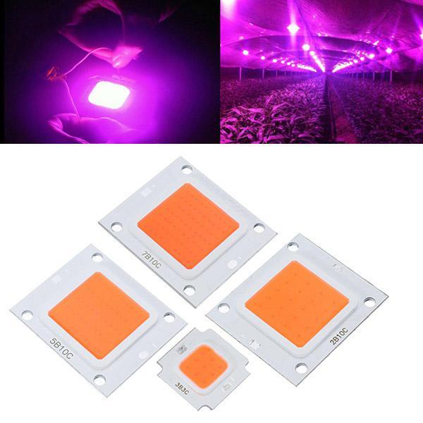 shopping גינה וגנים 50W 70W 100W LED Cob Indoor Garden Plant Grow Light Chip DIY Full Spectrum Growth Lamp